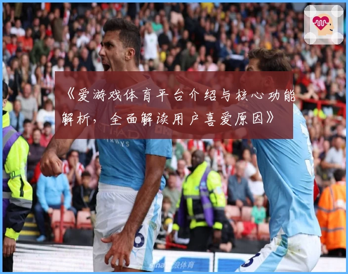 《爱游戏体育平台介绍与核心功能解析，全面解读用户喜爱原因》